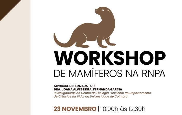 Imagem de banner WorkshopMamiferos 23Nov-sc