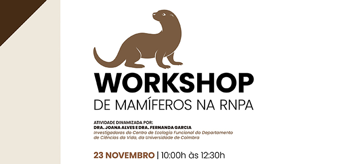 Imagem de banner WorkshopMamiferos 23Nov-scal