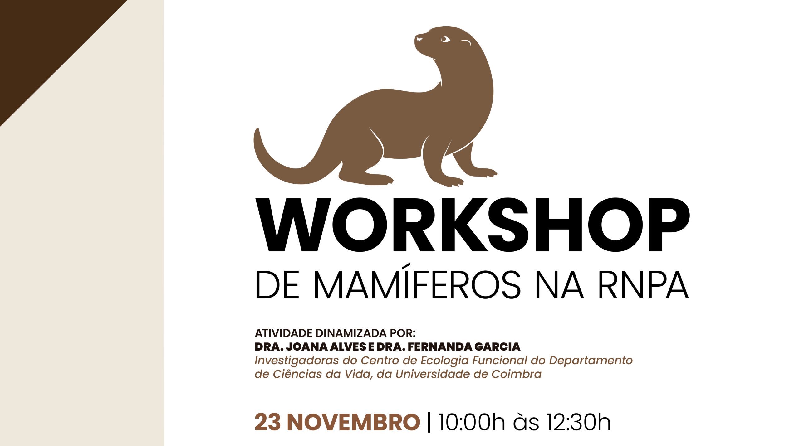 Imagem de banner WorkshopMamiferos 23Nov-sc