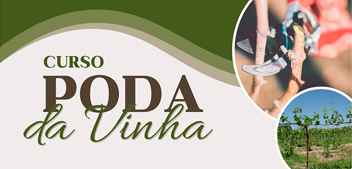 Imagem de Curso-Poda-da-Vinha ba